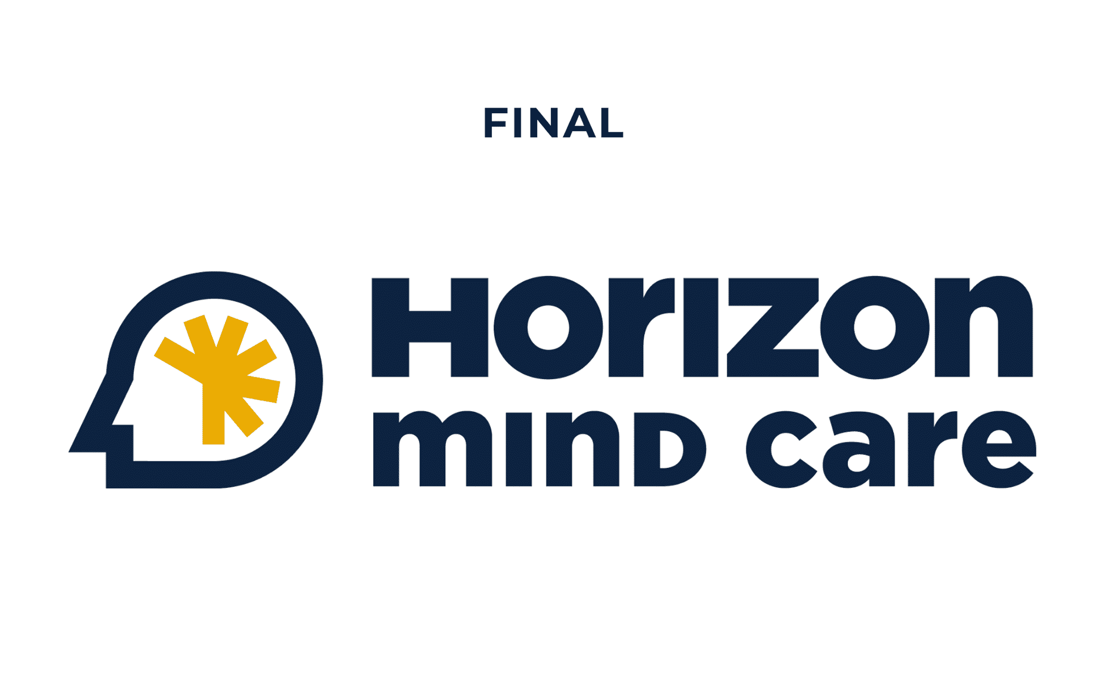 Horizon 3